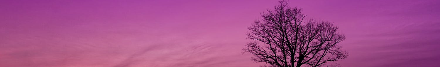 Vinterlandskap med rosafärgad himmel